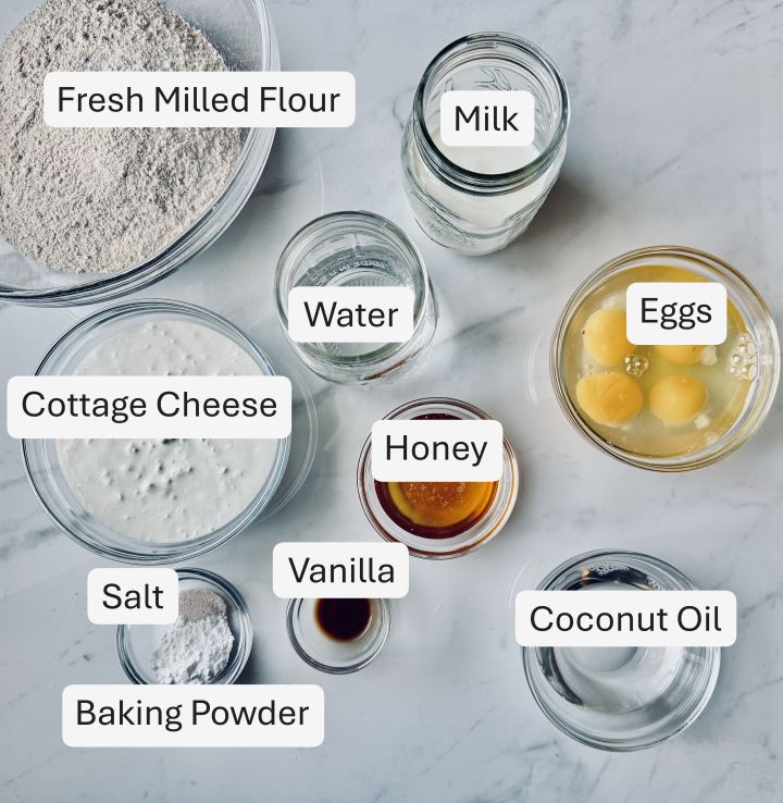 Fresh Milled Flour Pancakes with Cottage Cheese Ingredients