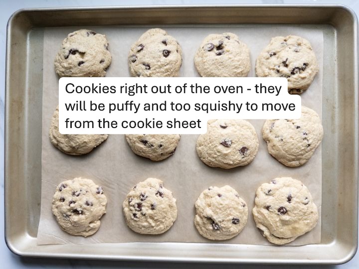 Fresh Milled Flour Chocolate Chip Cookies Step 6  - cookies right out of the oven