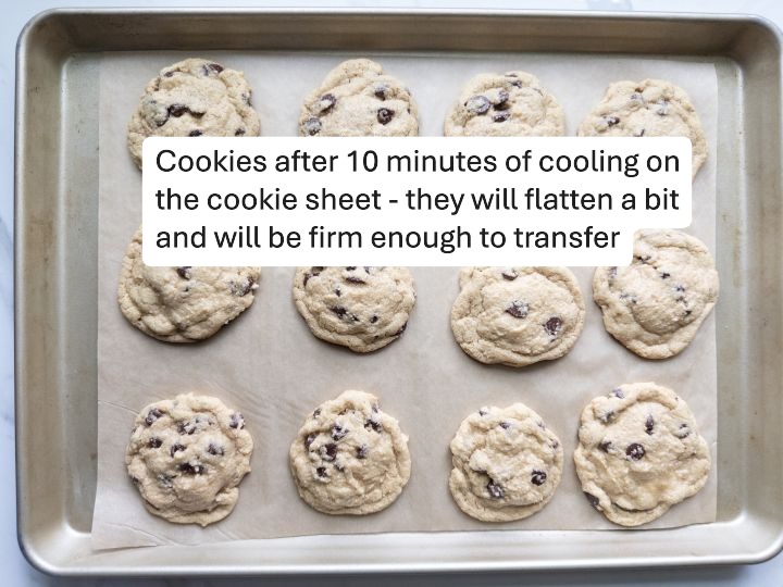 Fresh Milled Flour Chocolate Chip Cookies Step 6 - cookies after 10 minutes of resting