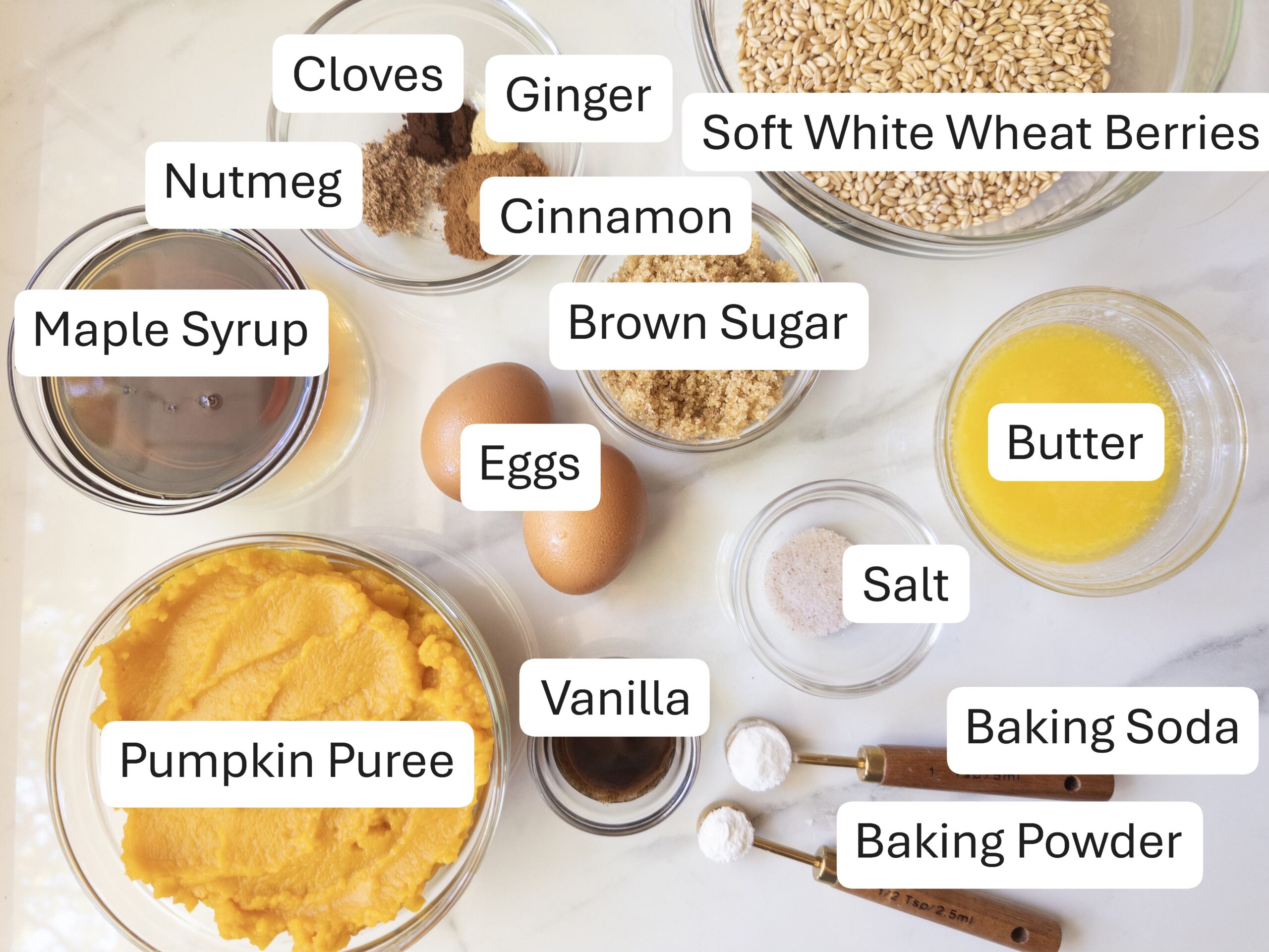 Labeled overhead shot of the muffin ingredients: soft white wheat berries, cloves, ginger, nutmeg, cinnamon, maple syrup, brown sugar, eggs, butter, salt, pumpkin puree, vanilla, baking soda, and baking powder in bowls on a marble counter.