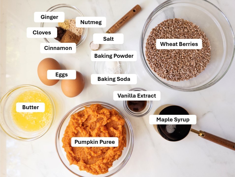 Labeled bowls of muffin ingredients — wheat berries, pumpkin puree, eggs, melted butter, maple syrup, vanilla extract, cinnamon, nutmeg, cloves, ginger, salt, baking powder, and baking soda — arranged on a marble counter.