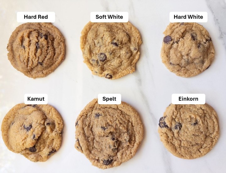 Six chocolate chip cookies arranged in a grid, each labeled by wheat variety: hard red, soft white, hard white, Kamut, spelt, and einkorn